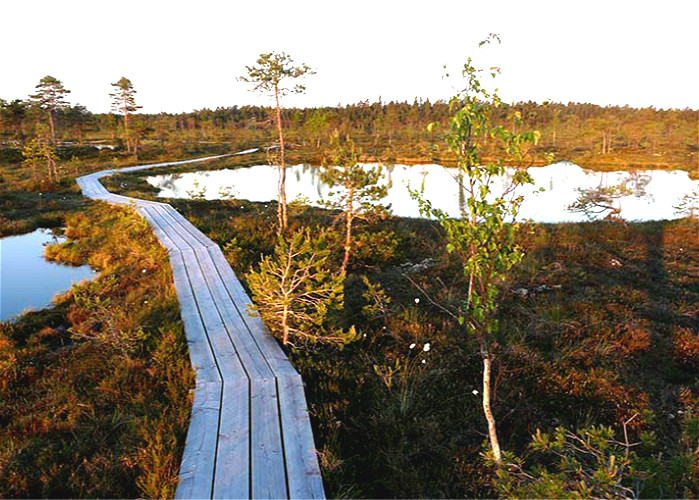 Jour 7: PARNU-PARC NATIONAL DE SOOMAA-TARTU